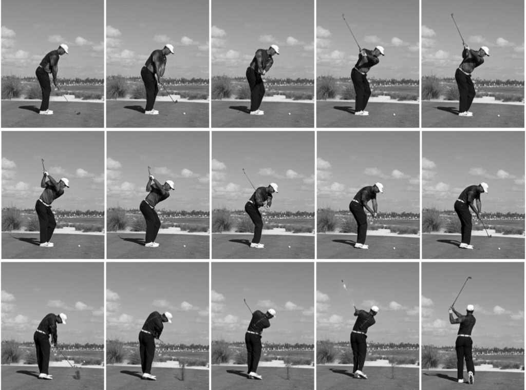 Featured image for “The Myth of Deliberate Practice & Mastery”