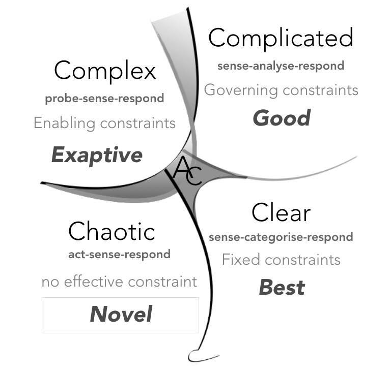 Cynefin Framework
