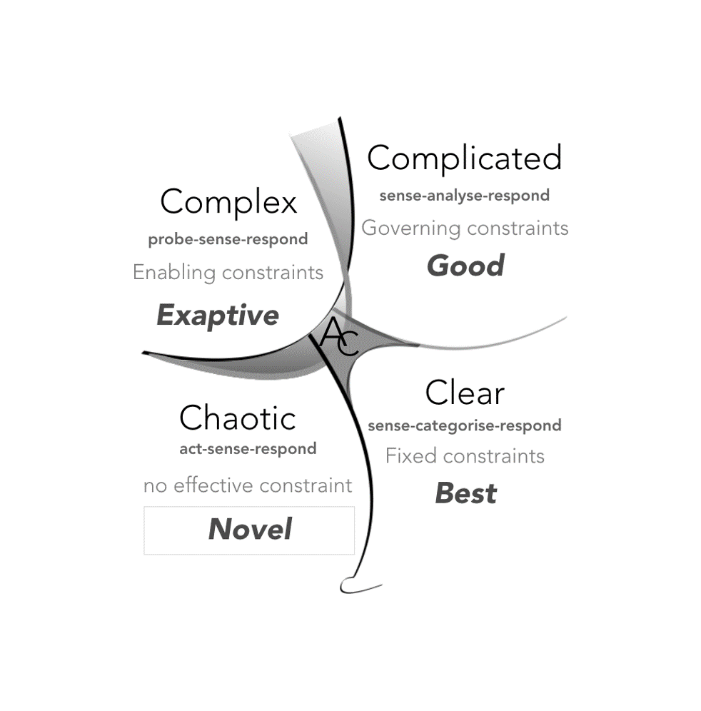 Featured image for “Cynefin: a decision making framework for leaders”