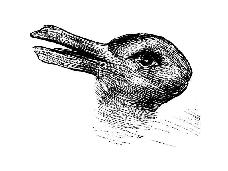 Featured image for “The Duck-Rabbit & the Polarities of Leadership”
