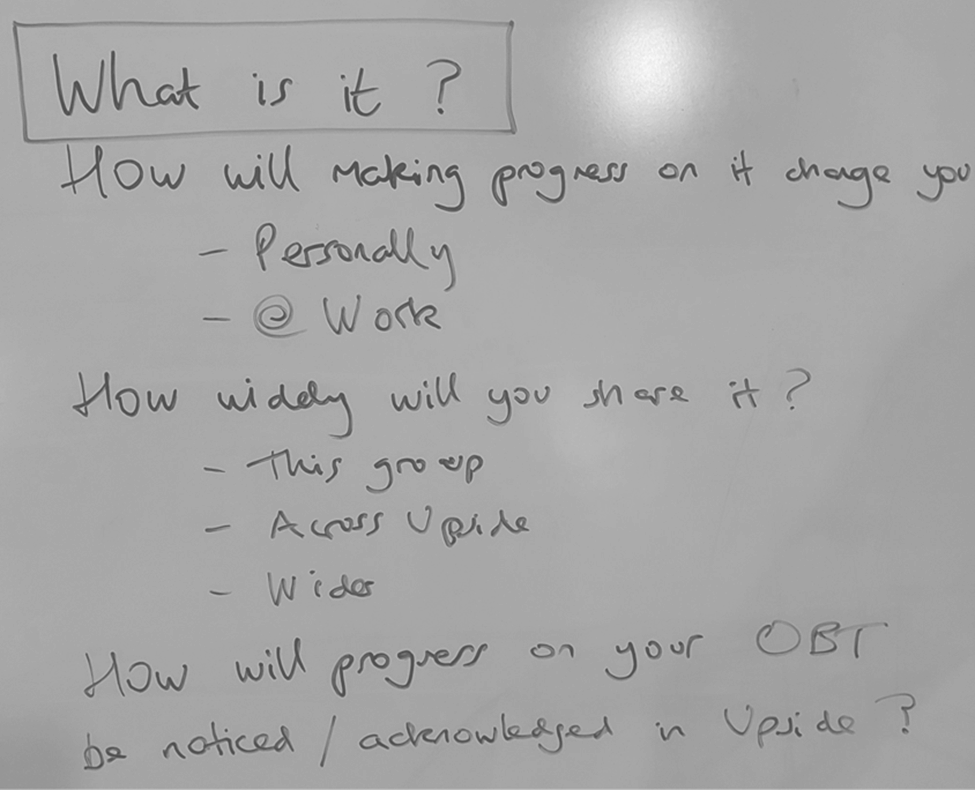 Deliberately Developmental Organization - One Big Thing